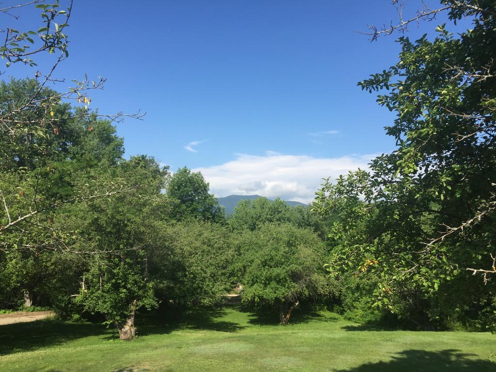 Briarcliff North Conway